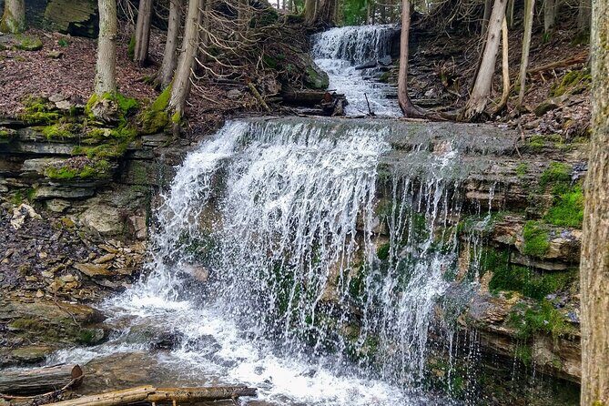Private Duncan/Metcalfe Caves Hike, Collingwood/Blue Mountain - Pricing and Value