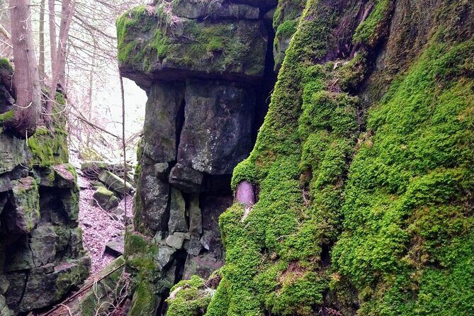 Private Duncan/Metcalfe Caves Hike, Collingwood/Blue Mountain - Who Will Love This Tour?