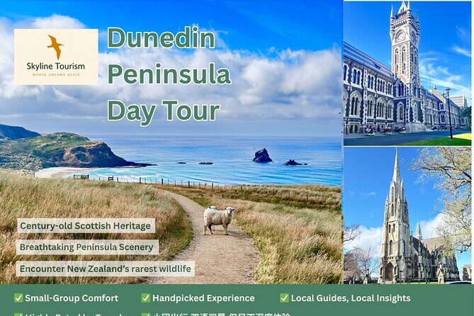 Private Dunedin & Otago Peninsula Day Tour Up to 4 - An In-Depth Look at the Itinerary