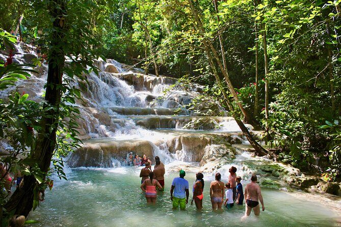 Private Dunn's River Falls Adventure from Montego Bay - Why Choose This Private Dunn’s River Falls Tour?