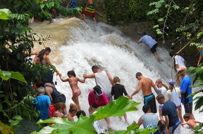 Private Dunns River Falls and Beach Break Excursion from Falmouth - Authenticity and Value