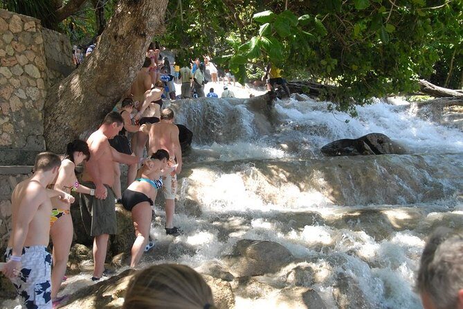 Private Dunns River Falls and Beach Break Excursion from Falmouth - Who Will Love This Tour?