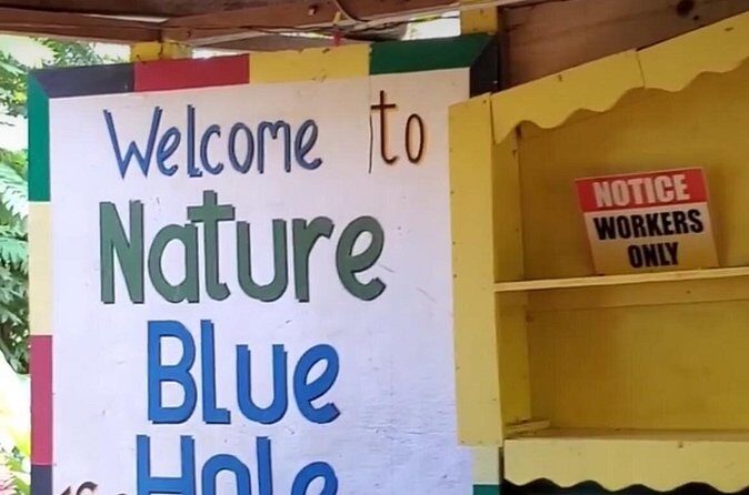 Private Dunns River Falls and Blue Hole from Montego Bay Tour - Suitable for Different Travelers