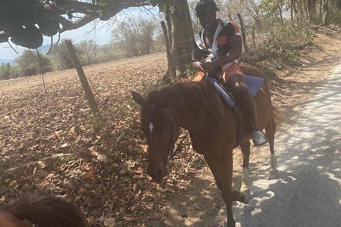 Private Dunns River Falls and Horse Back Riding - Introduction to the Tour