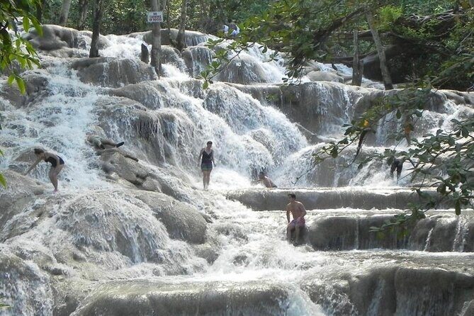 Private Dunns River Falls and Horse Back Riding - The Transport, Timing, and Logistics