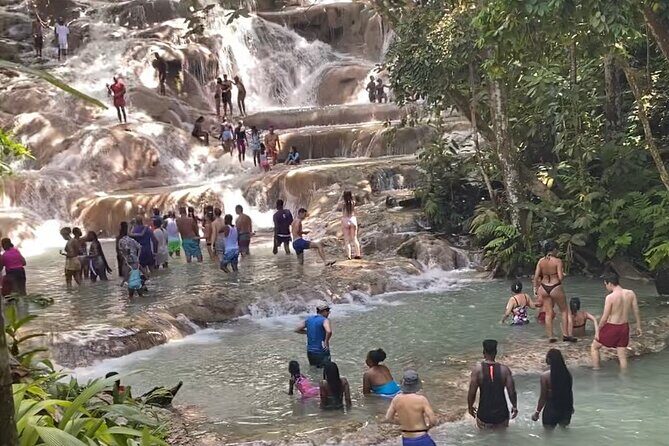 Private Dunns River Falls and Horse Back Riding - Price and Value