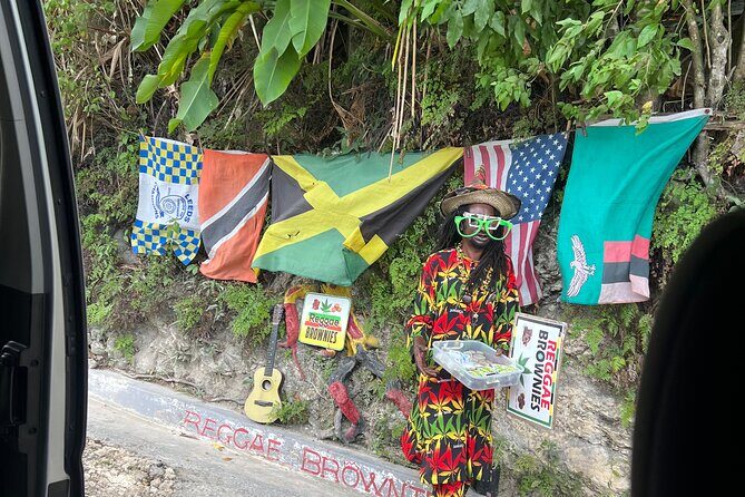 Private Dunns River Falls & Bluehole tour from Montego Bay - How the Experience Feels in Practice
