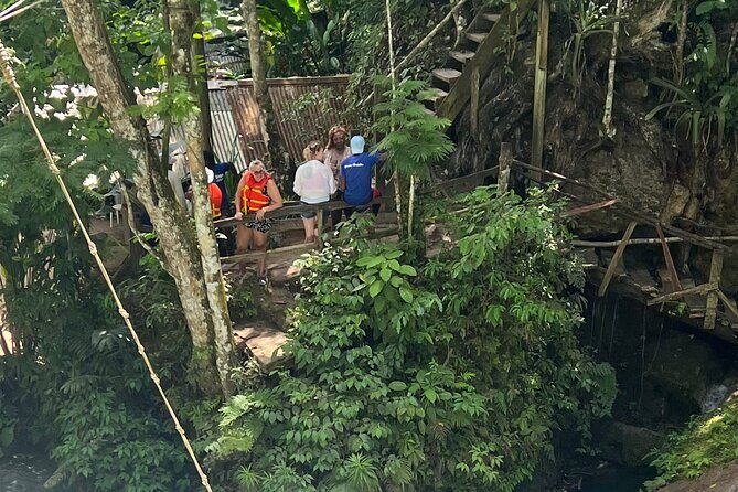 Private Dunns River Falls & Bluehole tour from Montego Bay - What Travelers Say