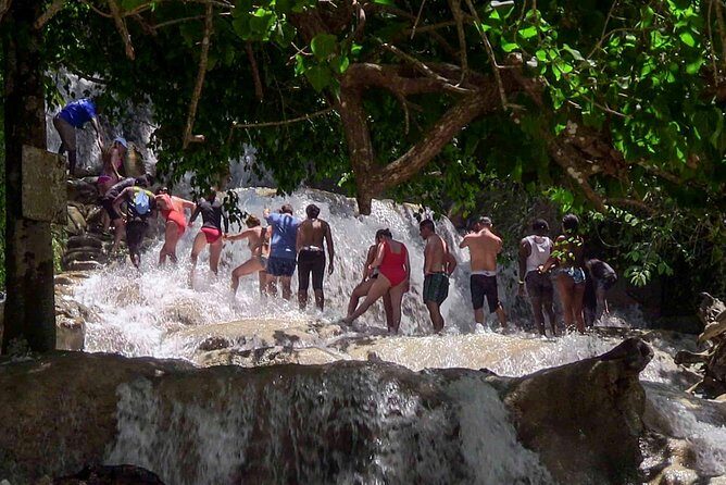 Private Dunn's River Falls from Ocho Rios - Introduction to the Tour Experience