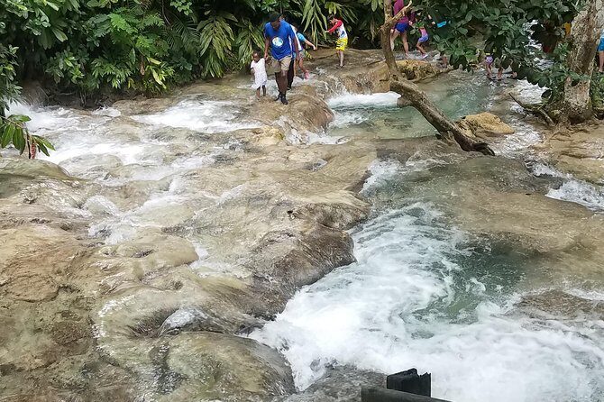 Private Dunn's River Falls from Ocho Rios - Pricing and Value