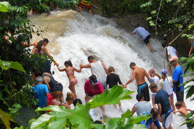 Private Dunns River Falls Tour in Ocho Rios - Booking Information