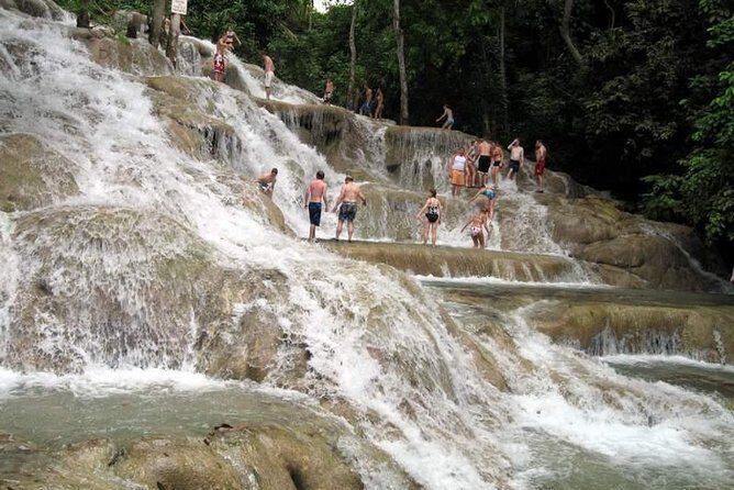 [PRIVATE] Dunn's River Falls with Entrance Fees - Introduction: Why Consider a Private Tour of Dunns River Falls?