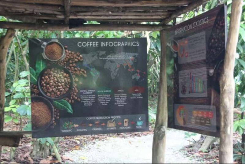 Private E-Bike Adventure Macao, El Salado, Ceiba & El Caño - An In-Depth Look at the Tour Experience