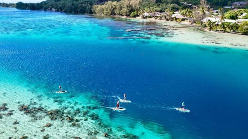 Private E-Board Tour of Moorea Lagoon - Discovering Moorea’s Lagoon on an E-Board