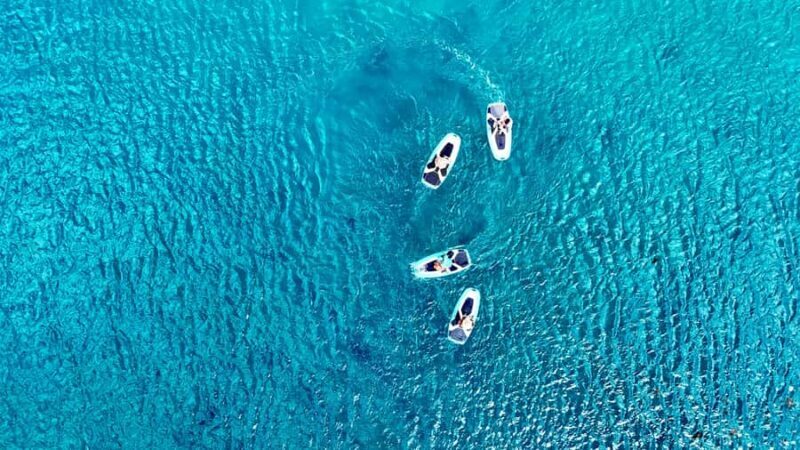 Private E-Board Tour of Moorea Lagoon - The Underwater Experience and Wildlife Watching