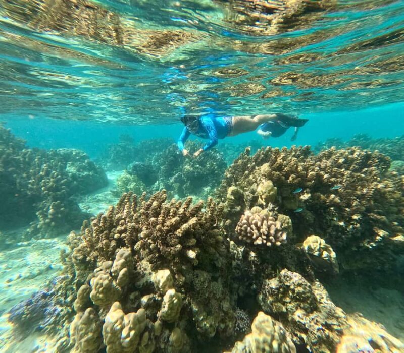 Private E-Board Tour of Moorea Lagoon - Practical Details and What to Bring