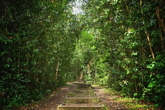 Private East Maui Hiking Experience - Discover Maui’s Hidden Natural Gem with the Private East Maui Hiking Experience
