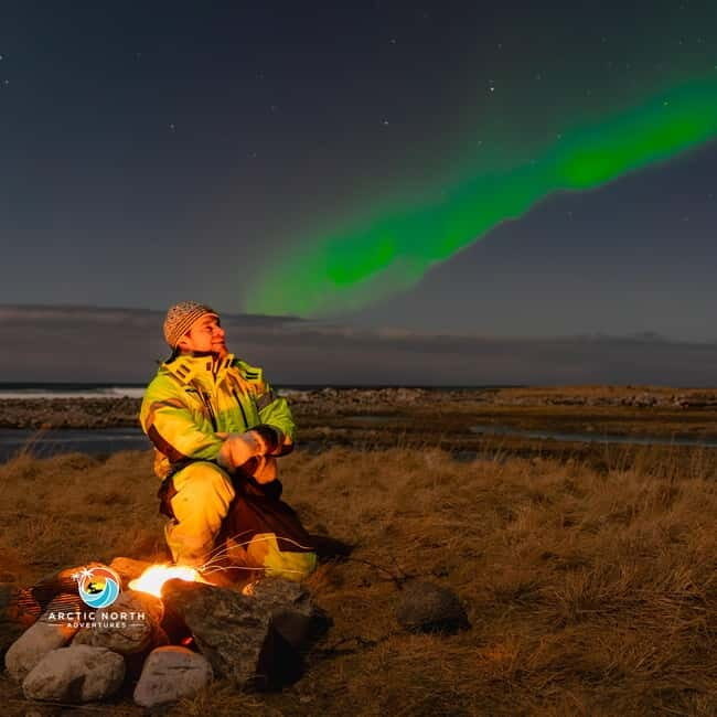 Private Eco Friendly Northern Lights Tour - Cost and Value