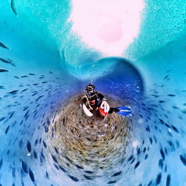 Private Eco Scuba Diving in Tenerife: no crowds and no rush - Practical Details and Considerations