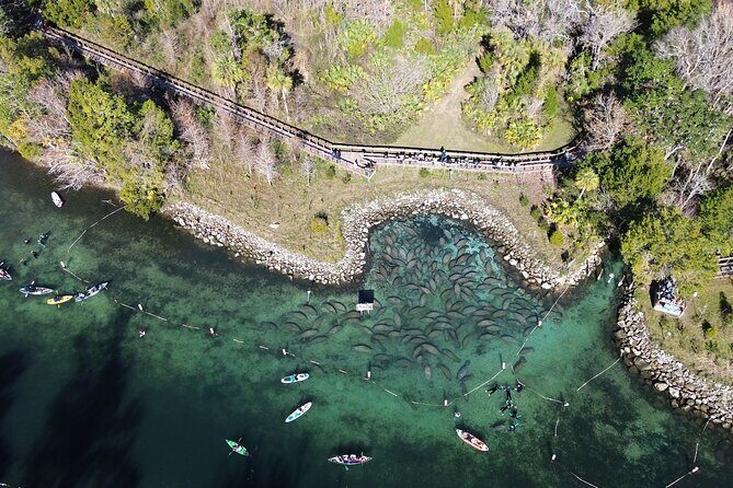 Private Eco Tour in Kings Bay Crystal River Florida - An In-Depth Look at the Eco-Tour Experience