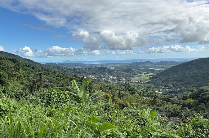 Private El Yunque Adventure  Hidden Waterfalls & El Toro Trail! - FAQs