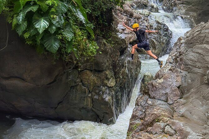 Private El Yunque Half-Day Tour with Transport - Why Choose This Tour?