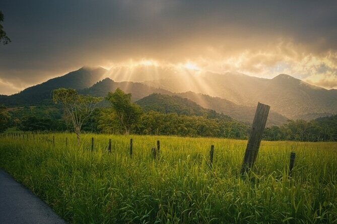 Private El Yunque Half-Day Tour with Transport - The Value for the Price