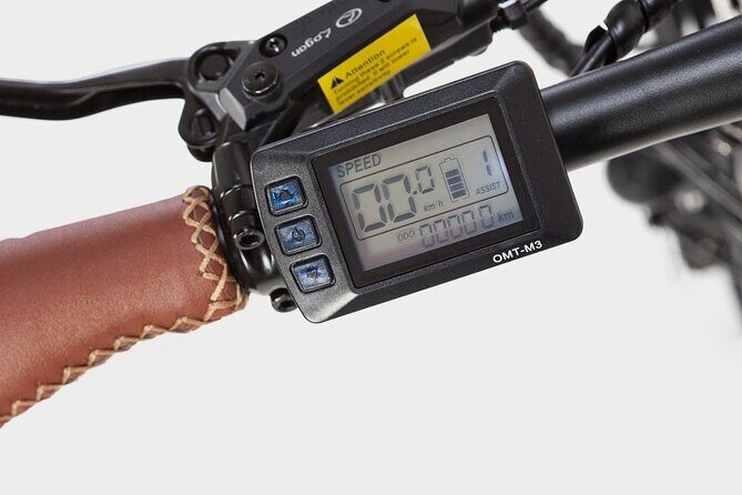 Private Electric Bike Tour through the City of Madrid - Why Choose This Madrid Electric Bike Tour?