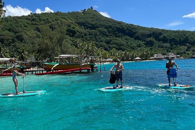Private Electric Paddle Cruise in Bora Bora - Comparing With Other Lagoon Activities