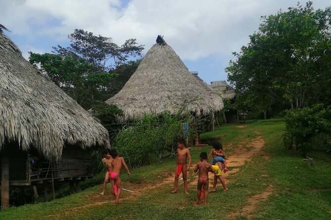 Private Embera Village Eco-Cultural Tour, Jungle Waterfall, and Nature Hiking - Cultural Immersion With Friendly Local Families