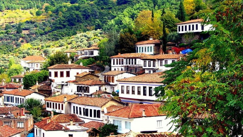 Private Ephesus and Sirince Village Tour Cruiser Only - Key Points  