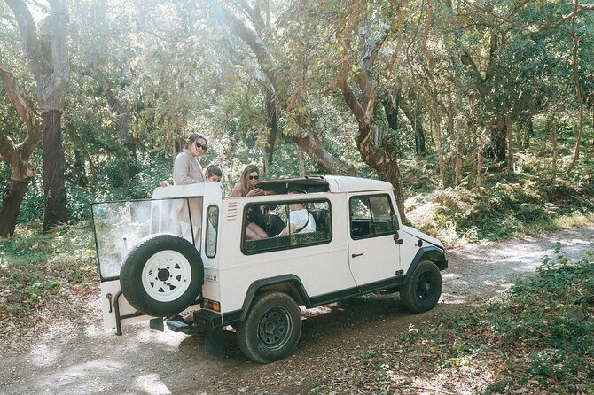 Private Epic Off-Road Adrenaline in Sintra - Authentic Feedback from Travelers