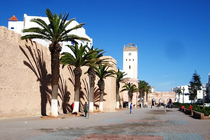 Private Essaouira Day Trip From Agadir - Transportation and Accessibility