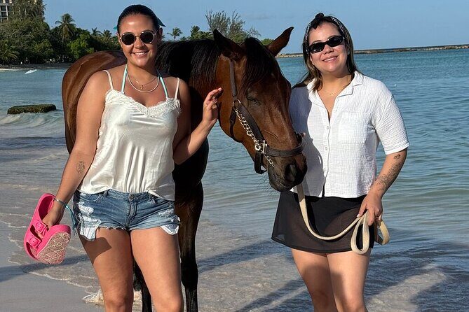 Private Evening Horse Ride on the Beach - Price and Value