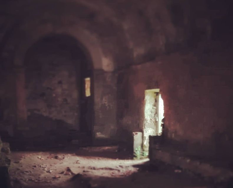 Private Evening Walk: Sintra Mountains Inbetween Wolves - Appointment and Cancellation Details