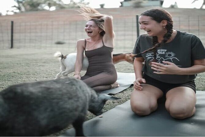 Private Event Goat Yoga Class - Authenticity and Unique Selling Points