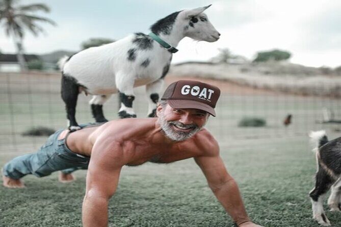 Private Event Goat Yoga Class - Who Will Love This?