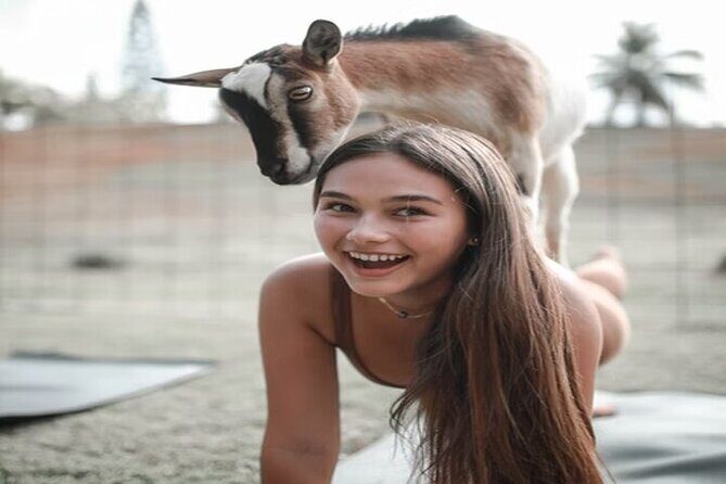 Private Event Goat Yoga Class - FAQ