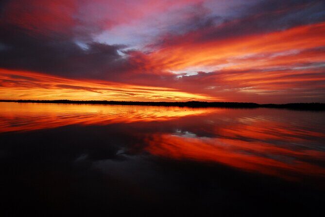 Private Everglades 10,000 Islands Photo and Birding Boat Safari - What Travelers Say