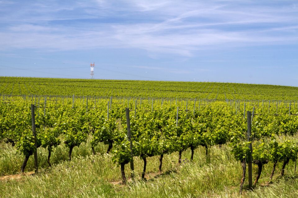 Private Évora World Heritage Tour From Lisbon - Important Information