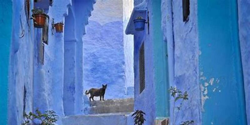 Private Exc 01 Day in the Blue City Chefchaouen of Marrakech - Exploring Chefchaouens Beauty