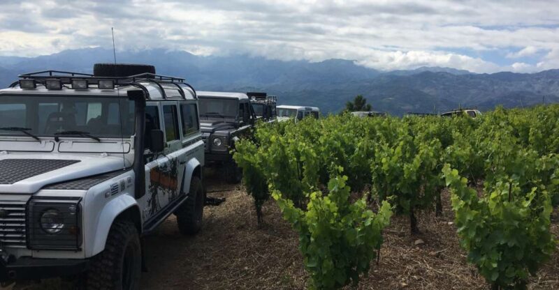 Private Exclusive Manousakis Winery and Vineyard Tour - Inclusions of the Tour
