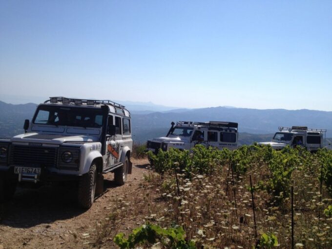 Private Exclusive Manousakis Winery and Vineyard Tour - Customer Reviews and Ratings