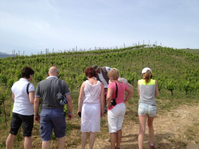 Private Exclusive Manousakis Winery and Vineyard Tour - Tips for a Great Experience