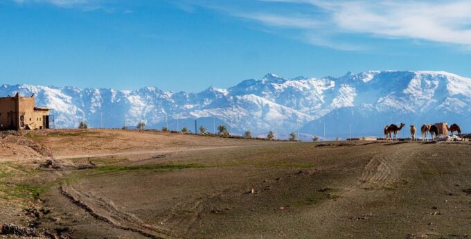 Private Excursion to Agafay Desert From Marrakech - Personalized Tour Flexibility
