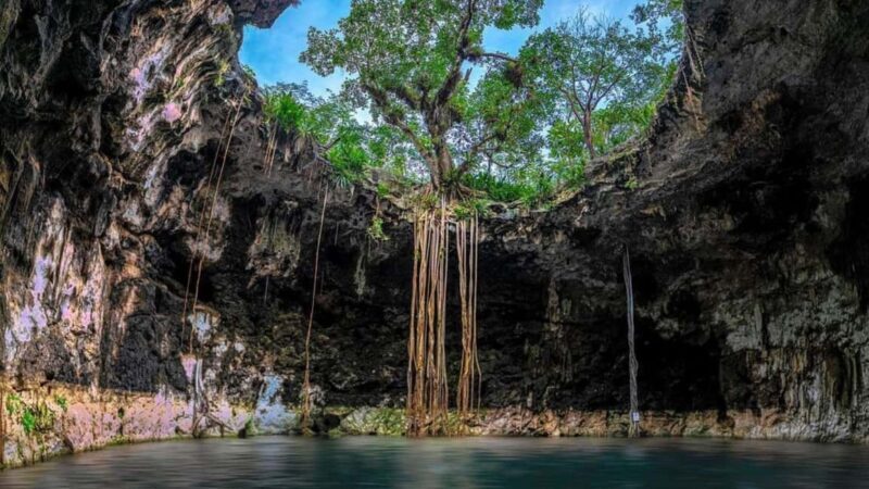 Private Excursion to Cenote Santa Barbara Homun with Transportation - Key Points