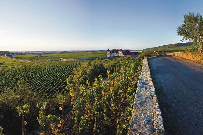 Private excursion to Côte de Beaune and Côte de Nuits (full day) - An In-Depth Look at the Tour Experience