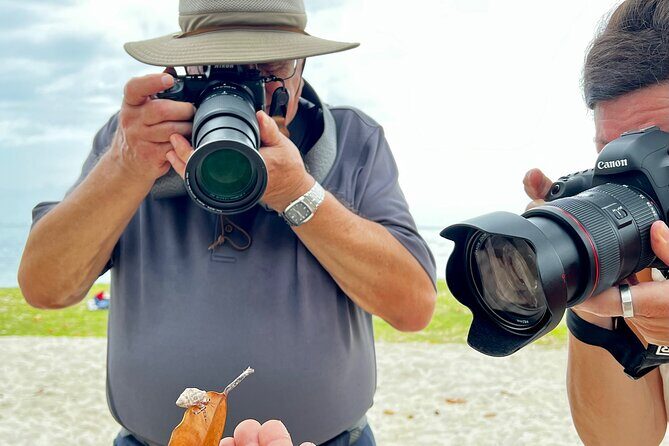 Private excursion to Moorea, photo tour & immersive discovery - A Deep Dive into the Moorea Photo & Discovery Tour