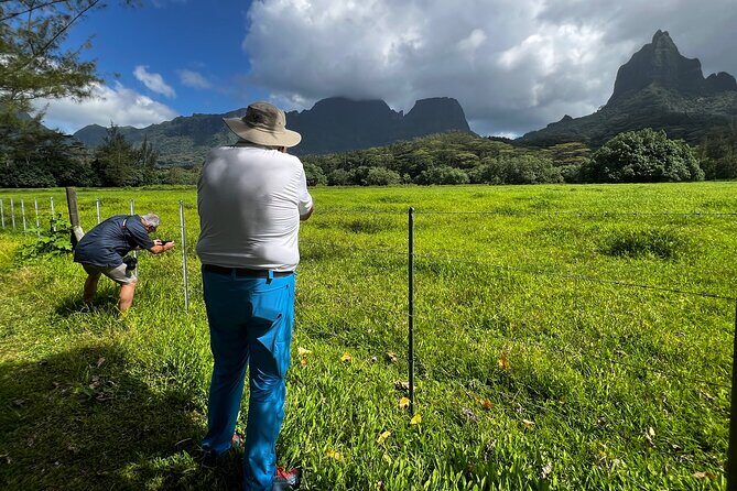 Private excursion to Moorea, photo tour & immersive discovery - FAQs