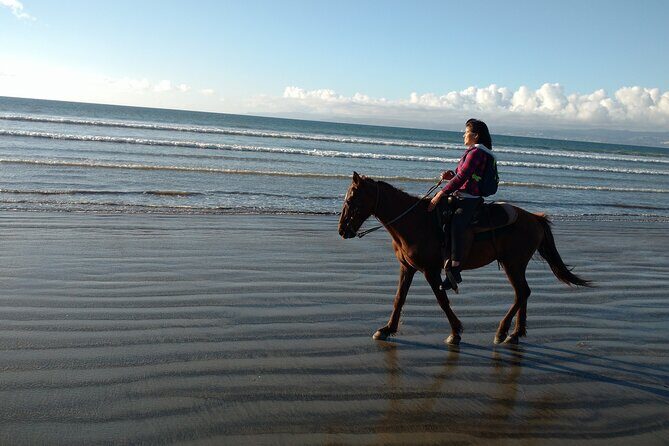 Private excursion to the bufadora and horseback riding on the beach - FAQ
